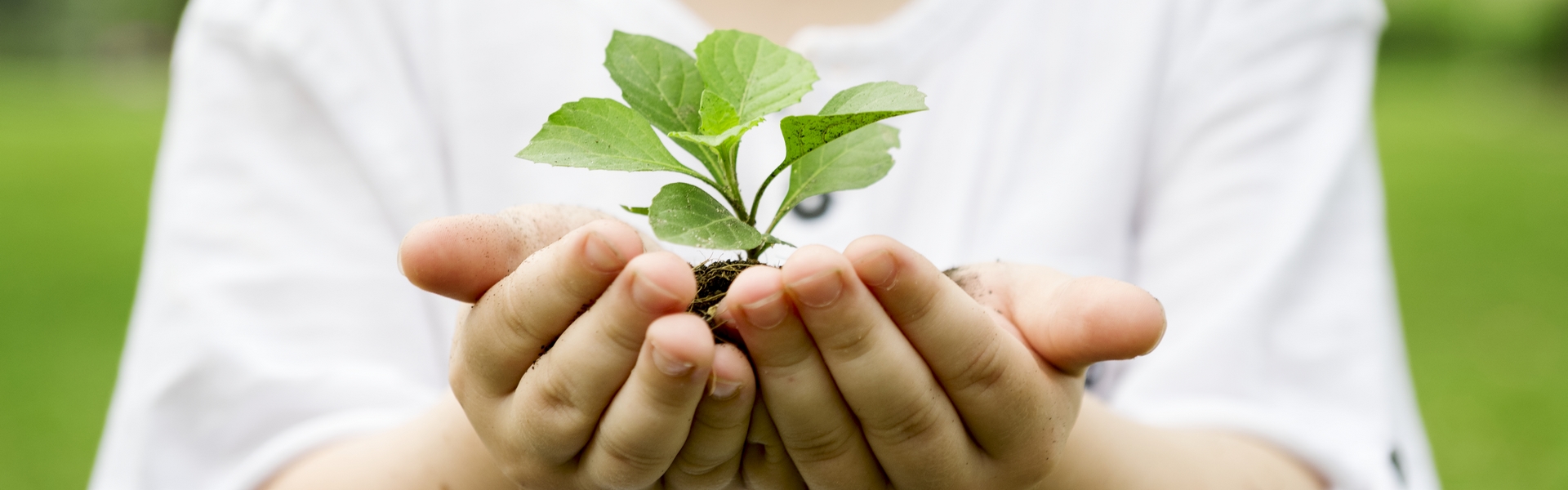 FCRFA - F&eacute;d&eacute;ration des Centres de R&eacute;adaptation Fonctionnelle Ambulatoire en Wallonie et &agrave; Bruxelles